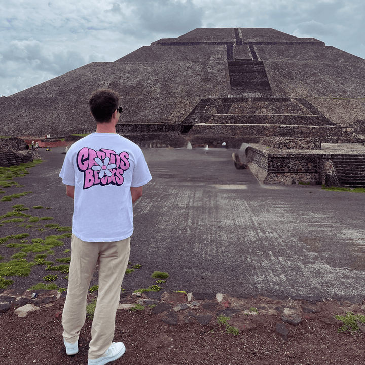 Person wearing Daisy Flower T-Shirt with pink text and flower graphic, standing in front of ancient pyramid.